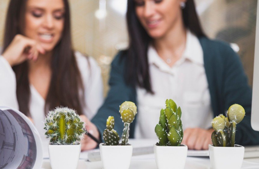 Cultivating an Indoor Biophilic Environment