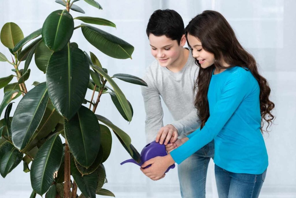 Managing Moisture And Preventing Indoor Issues