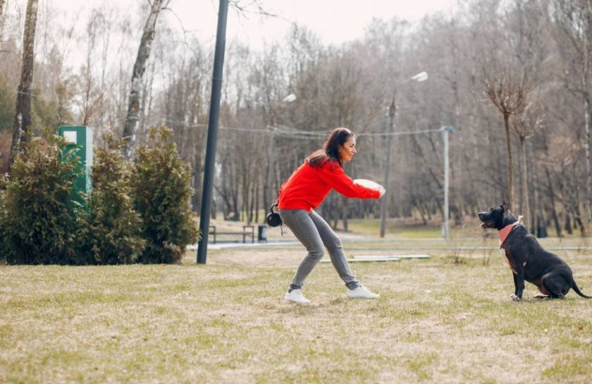 Dedicated Off-Leash Dog Zones